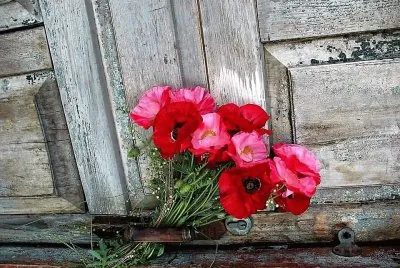 flores