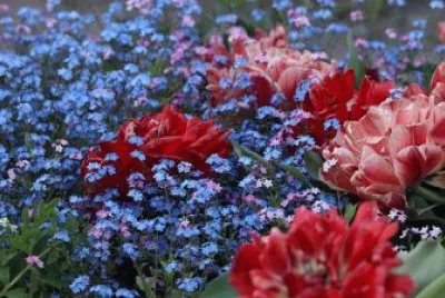 Imagem jigsaw puzzle