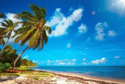 Imagem jigsaw puzzle