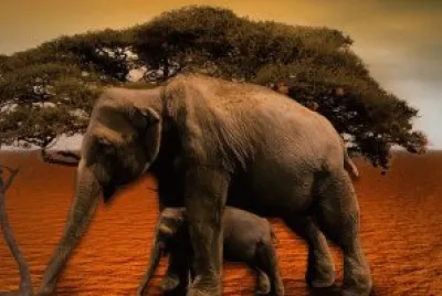 Imagem jigsaw puzzle