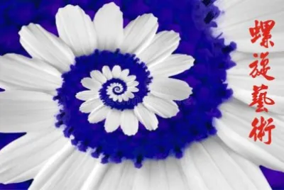 èžºæ—‹è—è¡“