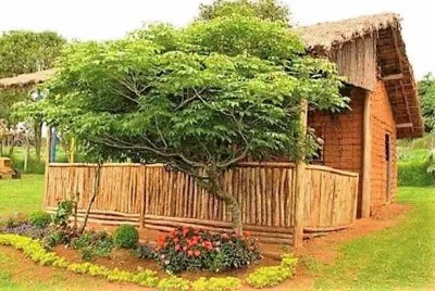 natural jigsaw puzzle