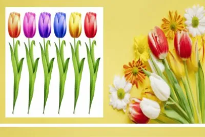 èŠ±æ¼¾ jigsaw puzzle