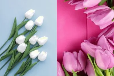 èŠ±æ¨£æ­é…