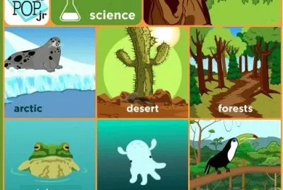 Where do animals lives?