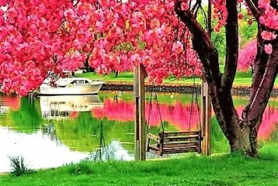 flores jigsaw puzzle