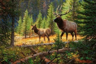 Imagem jigsaw puzzle