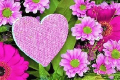 Imagem jigsaw puzzle