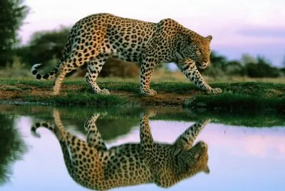 Hermosa Naturaleza