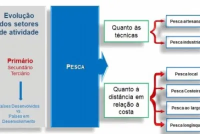 Pesca