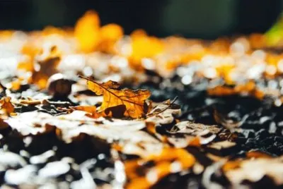 Imagem jigsaw puzzle