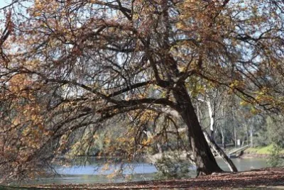 Imagem jigsaw puzzle