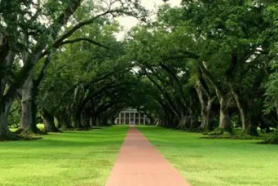 Imagem jigsaw puzzle