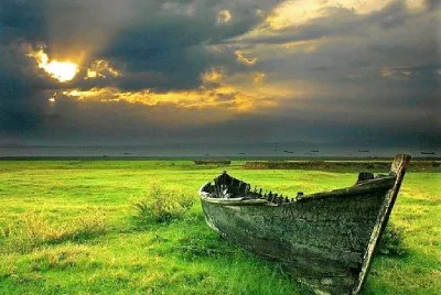 natural jigsaw puzzle