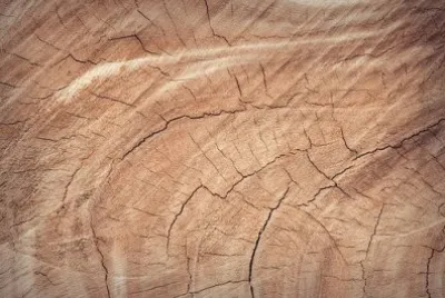 פאזל של Imagem