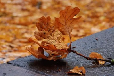 Imagem jigsaw puzzle