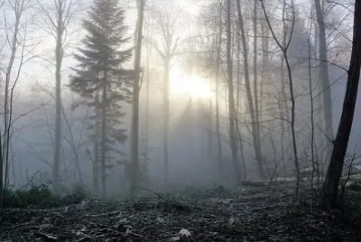 Imagem jigsaw puzzle