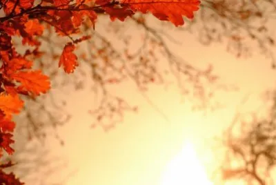 Imagem jigsaw puzzle