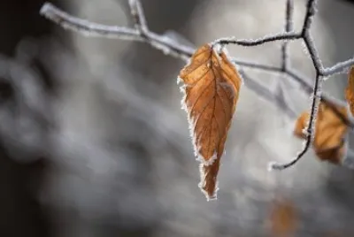 Imagem jigsaw puzzle