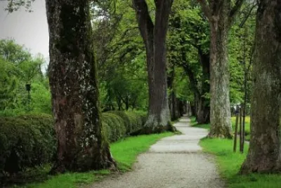 Imagem jigsaw puzzle