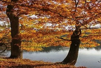 Imagem jigsaw puzzle