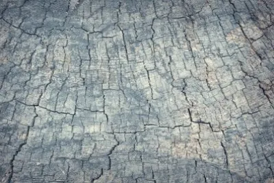 Imagem jigsaw puzzle