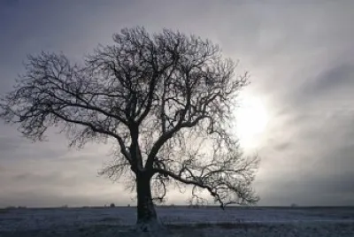 Imagem jigsaw puzzle