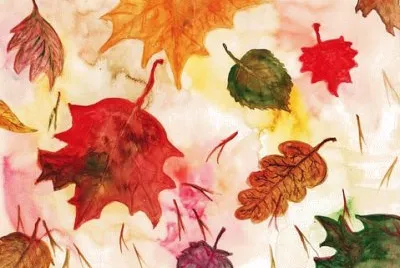 Imagem jigsaw puzzle