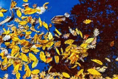 Imagem jigsaw puzzle