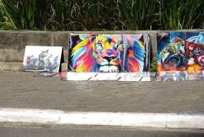 lion