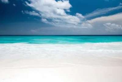 Imagem jigsaw puzzle
