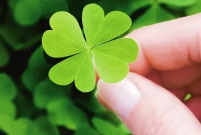 trebol jigsaw puzzle