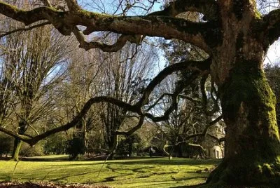 Imagem jigsaw puzzle