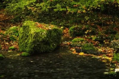 Imagem jigsaw puzzle