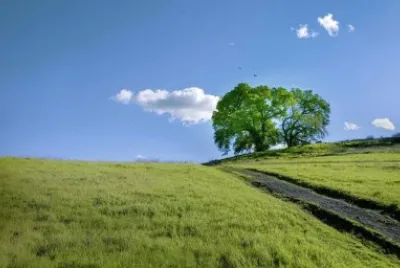 Imagem jigsaw puzzle