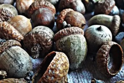 Imagem jigsaw puzzle