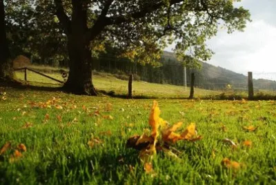 Imagem jigsaw puzzle