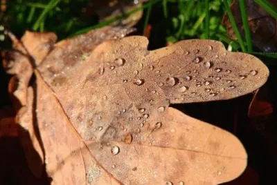 Imagem jigsaw puzzle