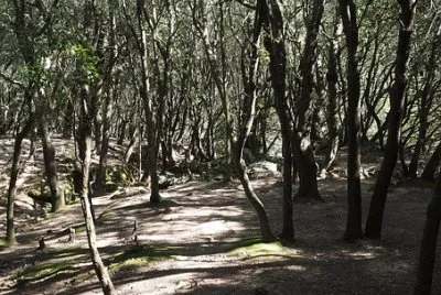 Imagem jigsaw puzzle