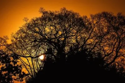 Imagem jigsaw puzzle