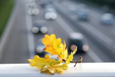 Imagem jigsaw puzzle