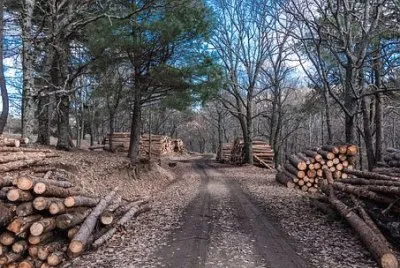 Imagem jigsaw puzzle