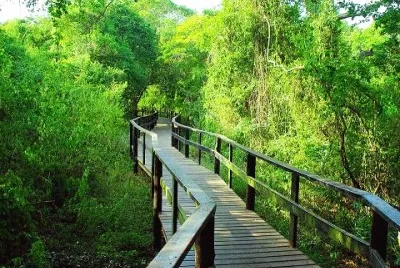 Imagem jigsaw puzzle