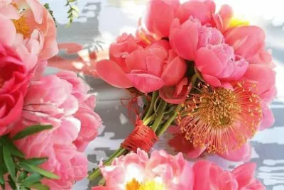 flores