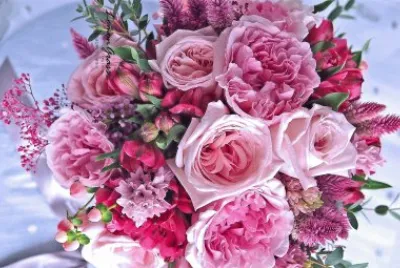 flores