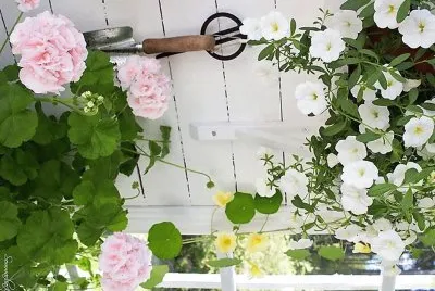 flores jigsaw puzzle