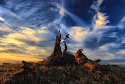 imagem jigsaw puzzle