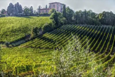 Imagem jigsaw puzzle