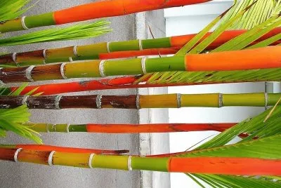 cores
