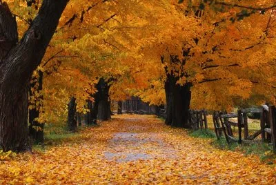 naturaleza